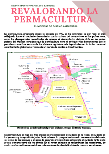 Boletín Junio #206 – 2022. REVALORANDO LA PERMACULTURA. Modelo de diseño ambiental.