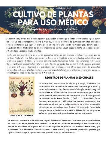 Boletín Marzo #203 – 2022. CULTIVO DE PLANTAS PARA USO MÉDICO