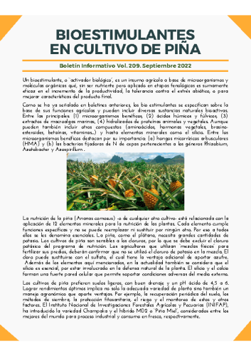 Boletín Septiembre #209 – 2022. BIOESTIMULANTES EN CULTIVOS DE PIÑA.