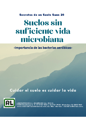 20. SUELOS SIN SUFICIENTE VIDA MICROBIANA. SSS20