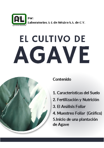 El Cultivo de AGAVE