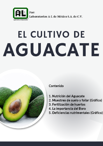 El Cultivo de AGUACATE