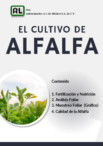 El Cultivo de ALFALFA