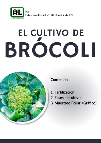 El Cultivo de BRÓCOLI