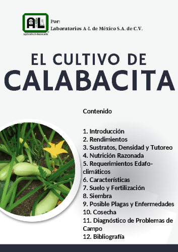 El Cultivo de CALABACITA