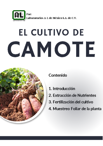 El Cultivo de CAMOTE
