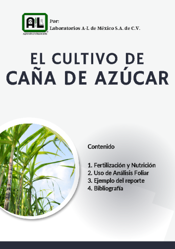 El Cultivo de CAÑA DE AZÚCAR