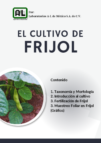 El Cultivo de FRIJOL