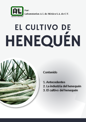 El Cultivo de HENEQUÉN