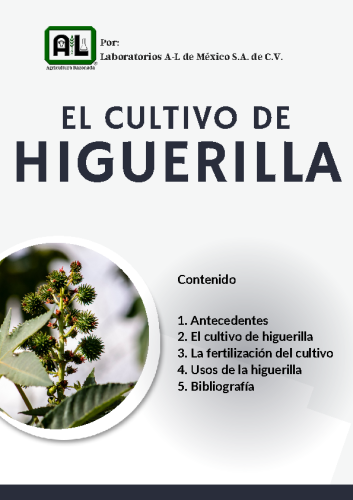 El Cultivo de HIGUERILLA