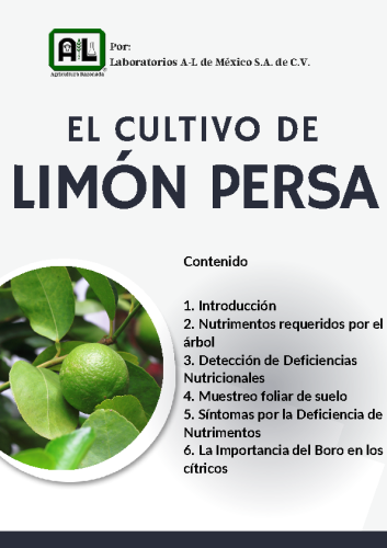 El Cultivo de LIMÓN PERSA