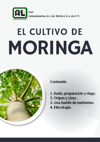 El Cultivo de MORINGA