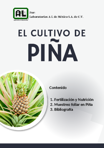 El Cultivo de PIÑA