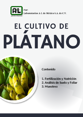 El Cultivo de PLÁTANO