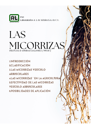 Las Micorrizas