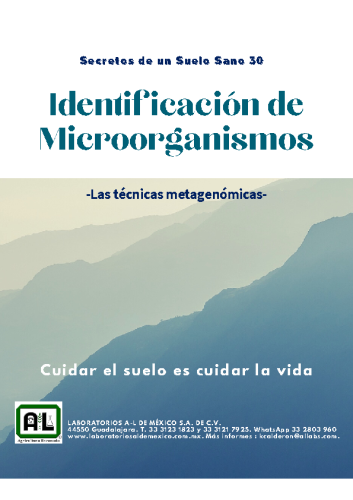 30. IDENTIFICACIÓN DE MICROORGANISMOS. SSS30