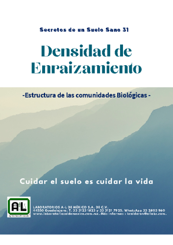 31. DENSIDAD DE ENRAIZAMIENTO. SSS31