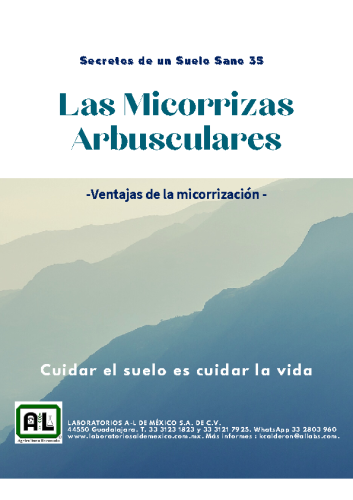 35. LAS MICORRIZAS ARBUSCULARES. SSS35