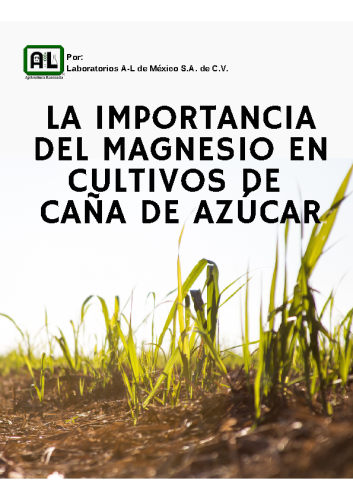 La Importancia del Magnesio en Caña de Azúcar