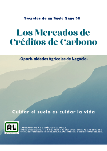 38. LOS MERCADOS DE CAPTURA DE CARBONO. SSS38