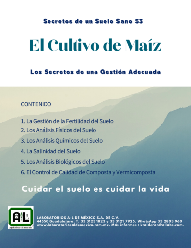 53.EL CULTIVO DE MAIZ. LOS SECRETOS DE UNA GESTIÓN ADECUADA